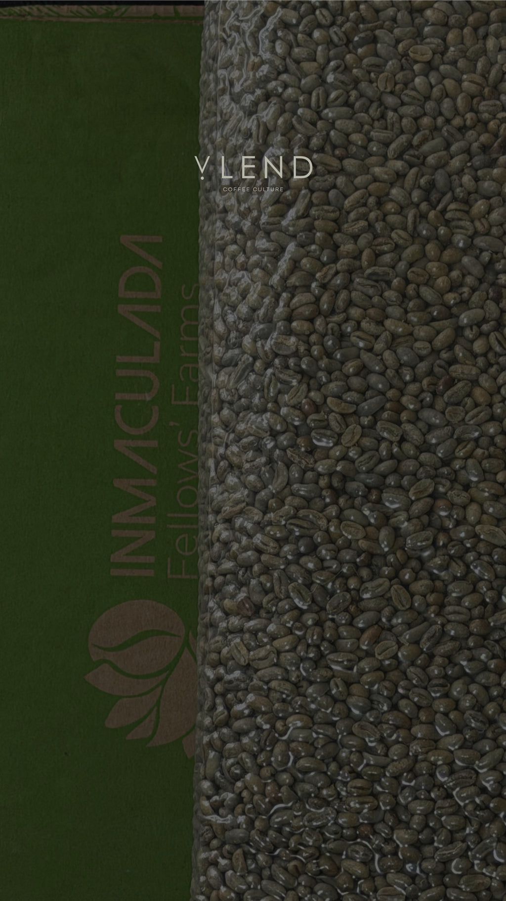 PEABERRY GEISHA 250g