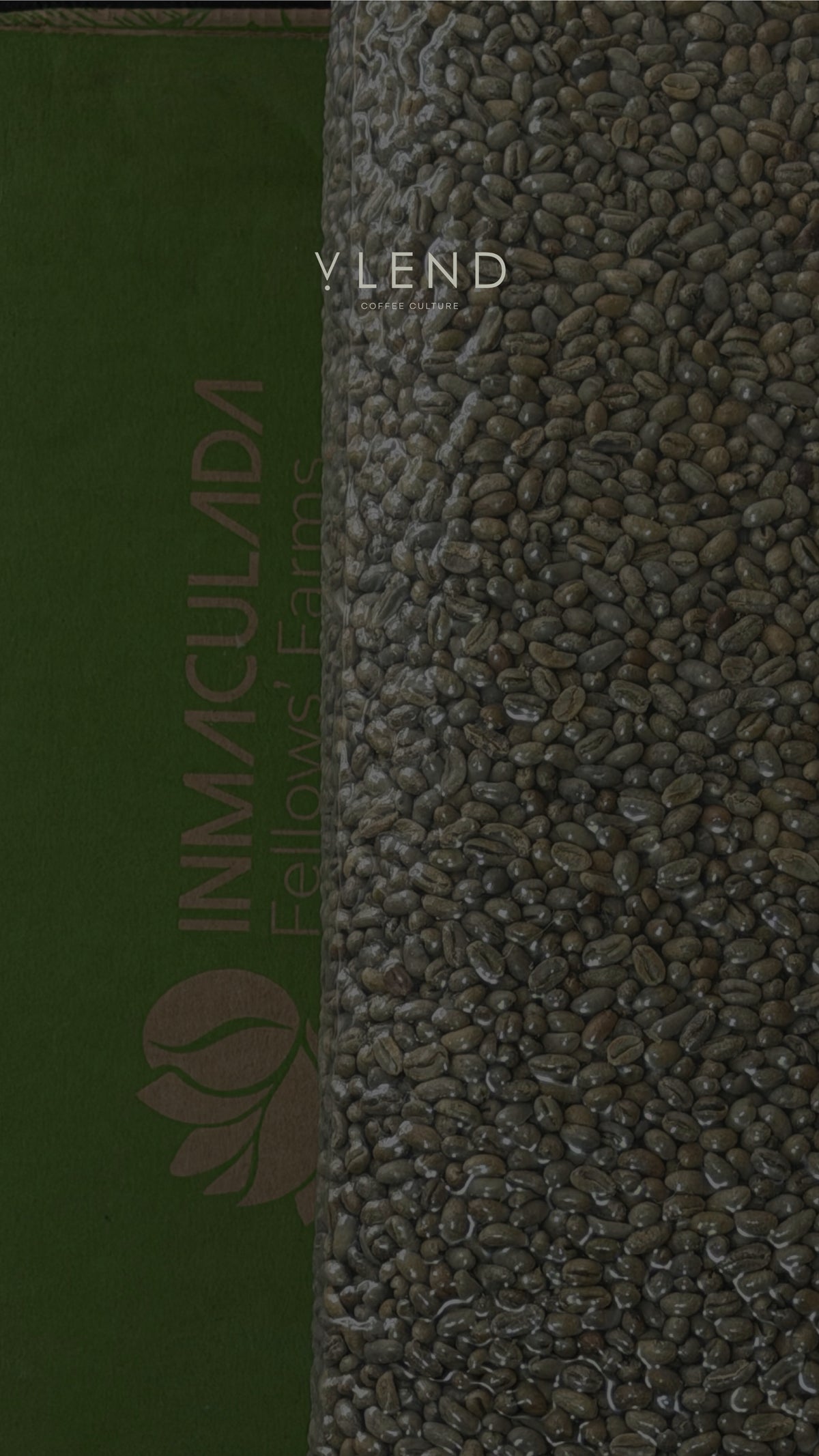 PEABERRY GEISHA 250g